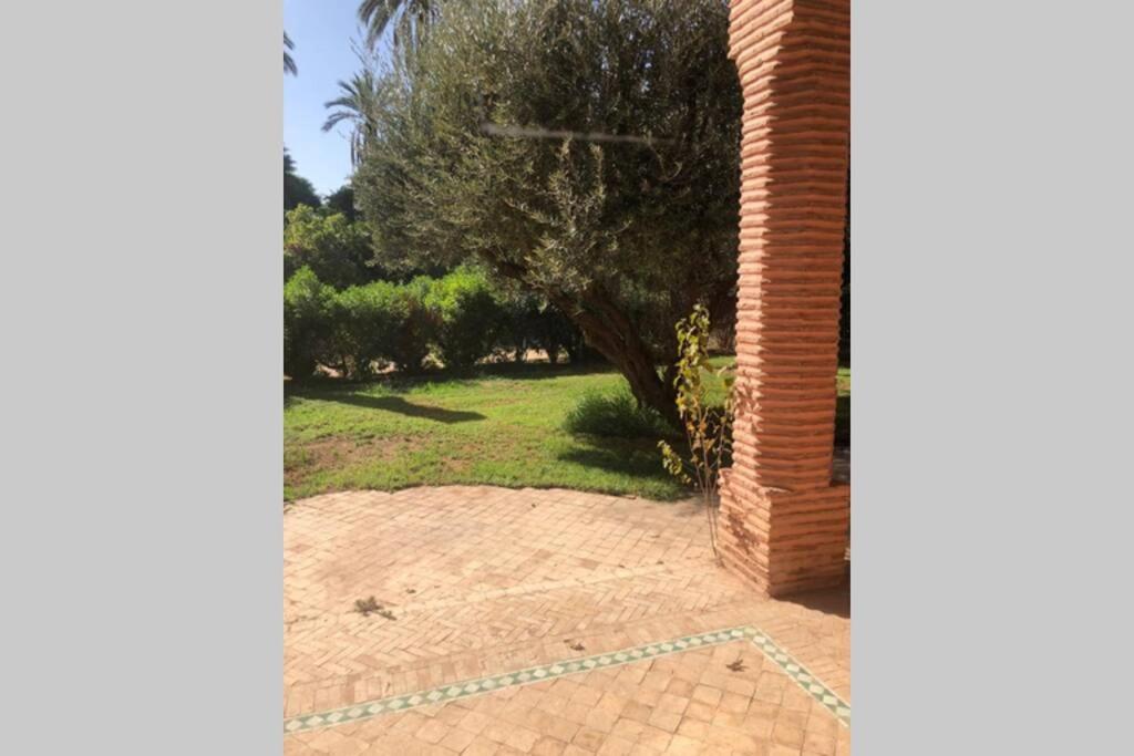 Appartement Bel Au Rez-de-jardin Dans La Palmeraie